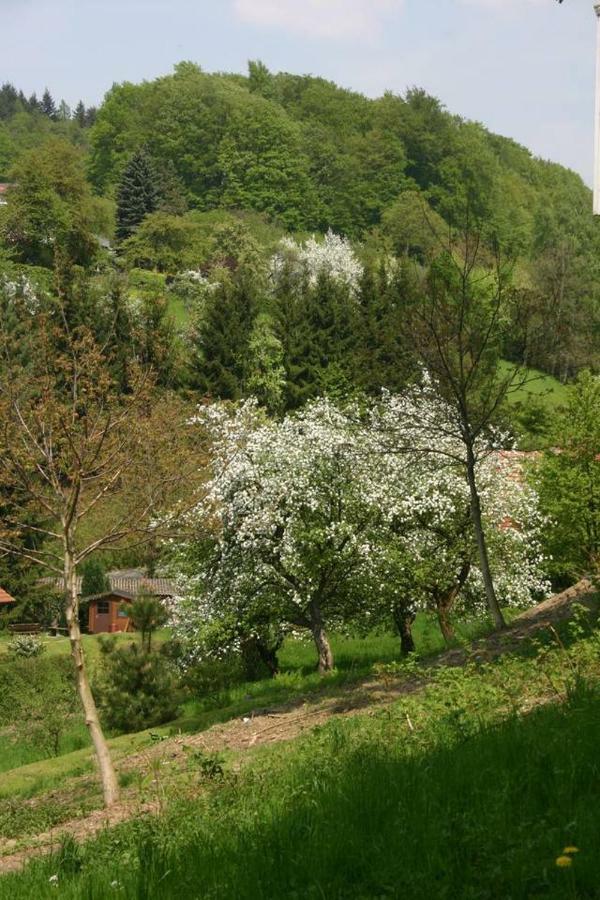 Talblick Appartement In Traumhafter Lage! Ober-Hambach Exteriér fotografie